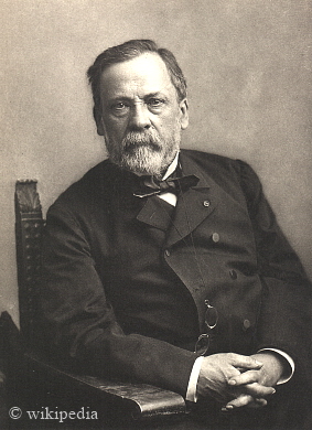 Louis Pasteur auf einem Photo von Félix Nadar. - Für eine größere Bilddarstellung klicken Sie bitte auf das Photo. Louis Pasteur auf einem Photo von Félix Nadar. - Für eine größere Bilddarstellung klicken Sie bitte auf das Photo.